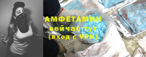 прущие крисы Вяземский