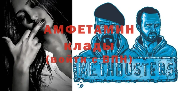 прущие крисы Вяземский