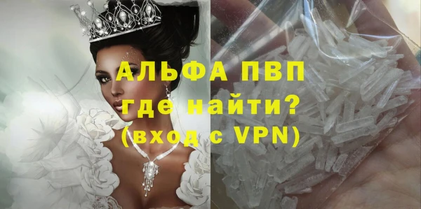 прущие крисы Вяземский