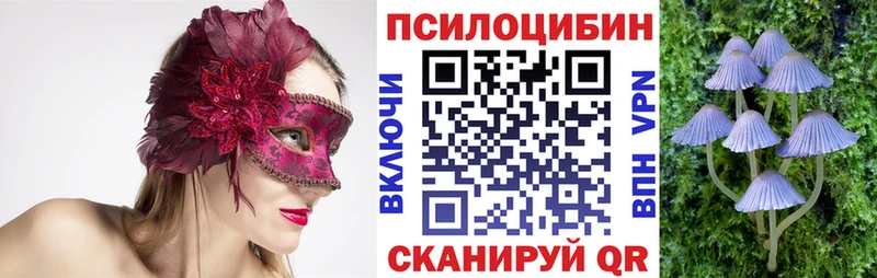 Галлюциногенные грибы MAGIC MUSHROOMS  маркетплейс какой сайт  Черняховск 